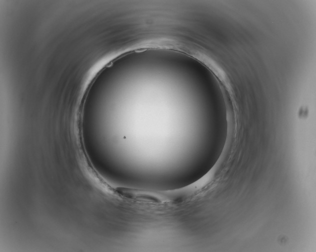 X0000097000960200802081441