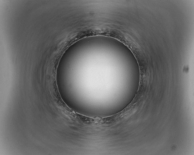 X0000097000961200802081440