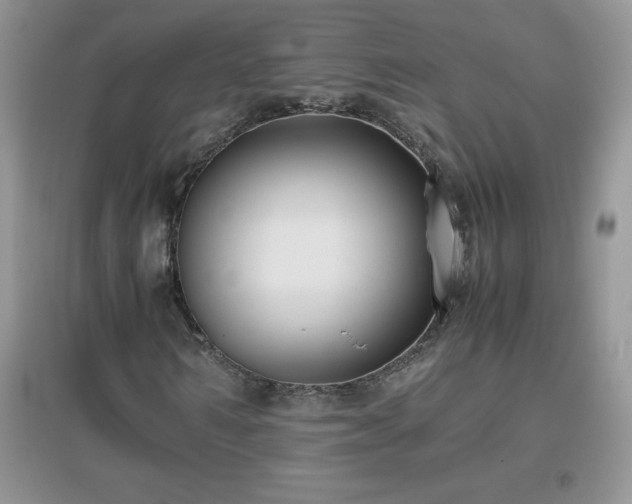 X0000097000962200802081440