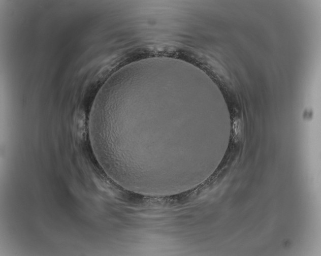 X0000097000963200802081440