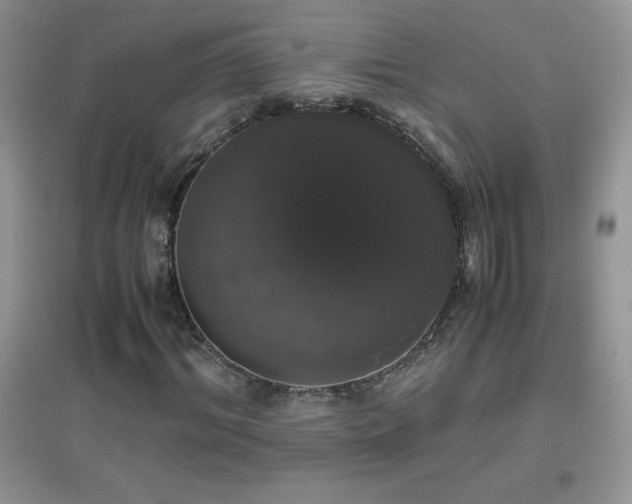 X0000097000964200802081440