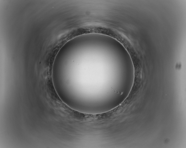 X0000097000965200802081440
