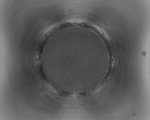 X0000097000966200802081440