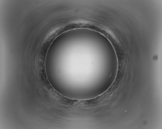 X0000097000967200802081440