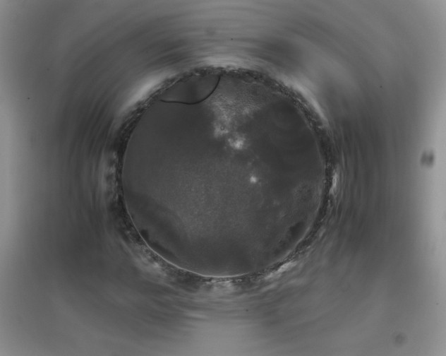 X0000097000968200802081440