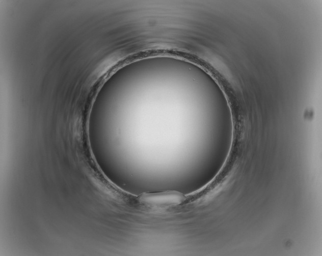 X0000097000969200802081440