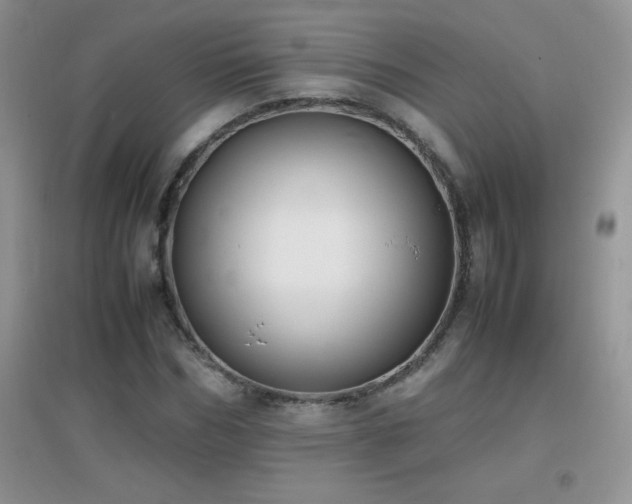 X0000097000970200802081440