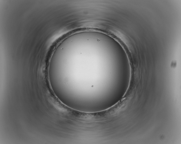 X0000097000971200802081440