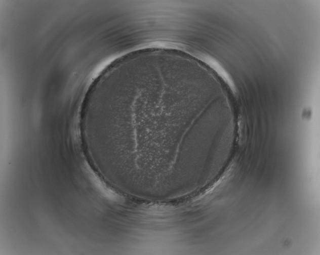 X0000097000972200802081440
