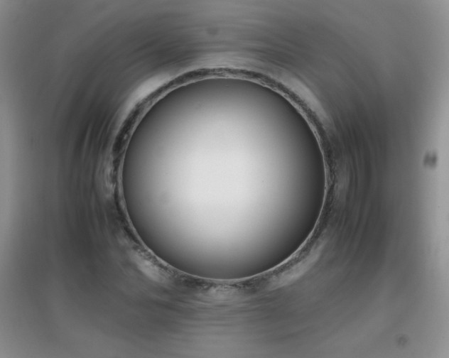 X0000097000974200802081440