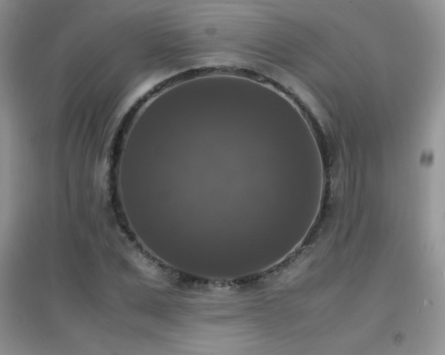 X0000097000975200802081440