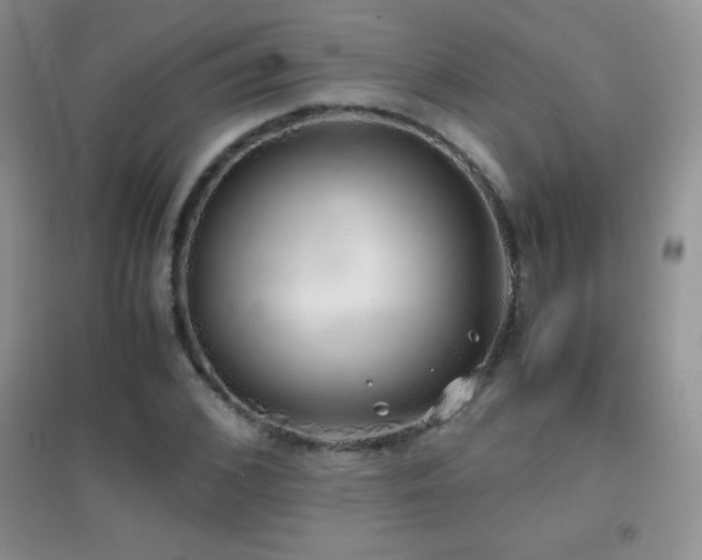 X0000097000976200802081440