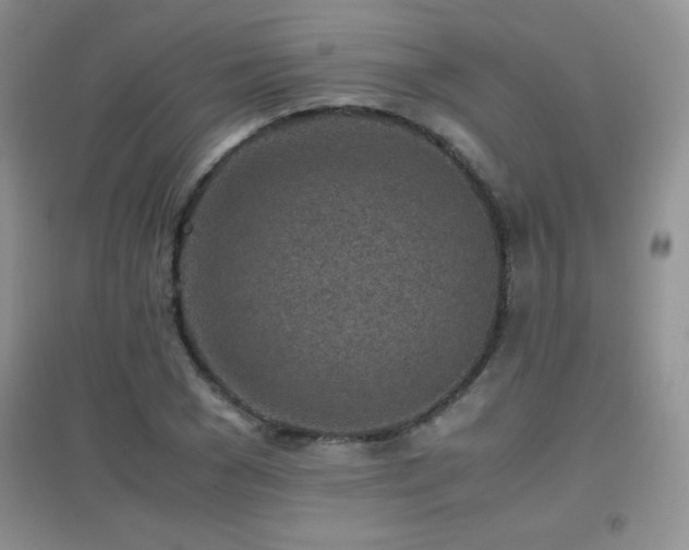 X0000097000977200802081440