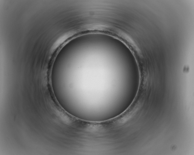 X0000097000978200802081440