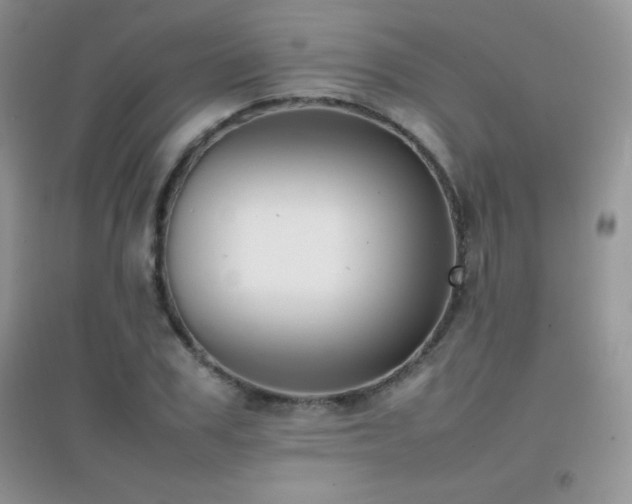 X0000097000979200802081440