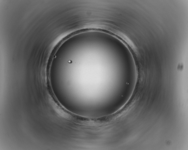 X0000097000980200802081440