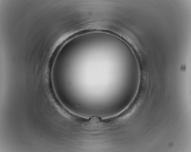 X0000097000981200802081440