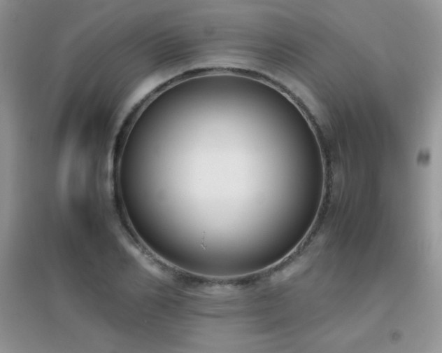 X0000097000982200802081440