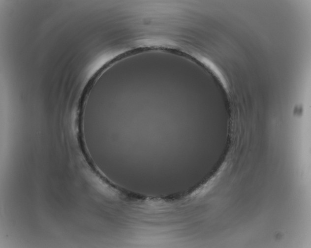 X0000097000983200802081440