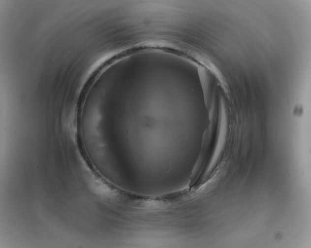 X0000097000984200802081440