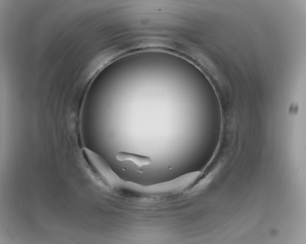 X0000097000985200802081440