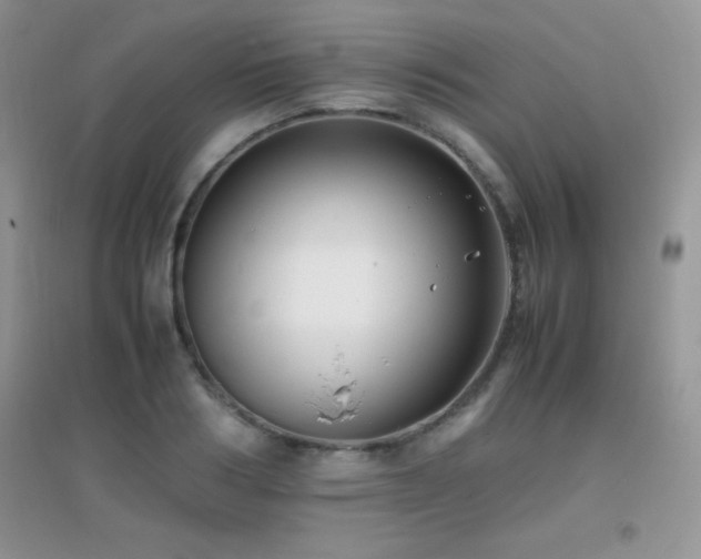 X0000097000986200802081440