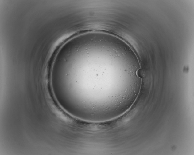 X0000097000987200802081440