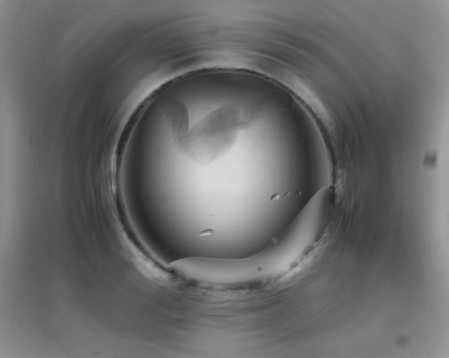 X0000097000988200802081440