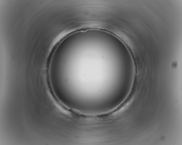 X0000097000989200802081440