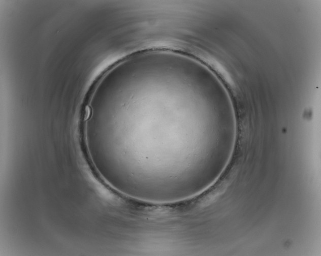 X0000097000991200802081440
