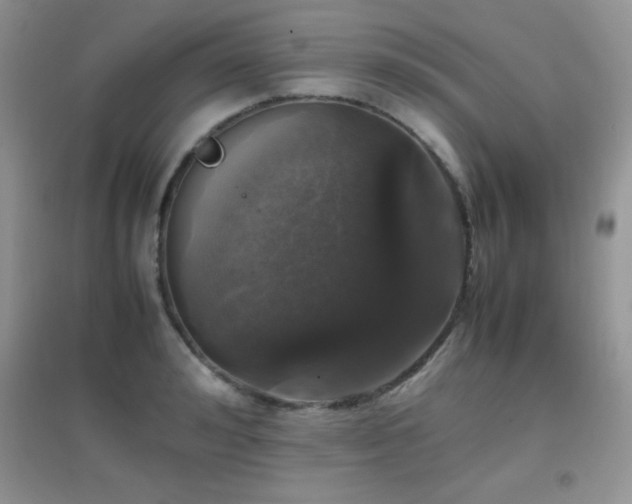 X0000097000992200802081440