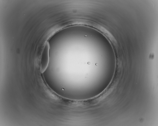 X0000097000993200802081440
