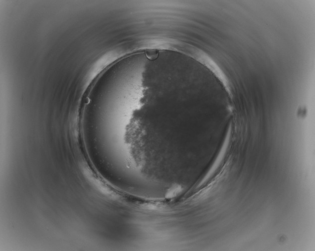 X0000097000994200802081440