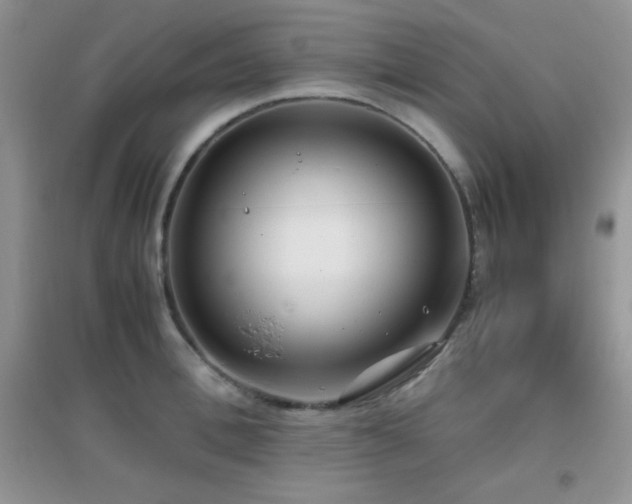 X0000097000996200802081440
