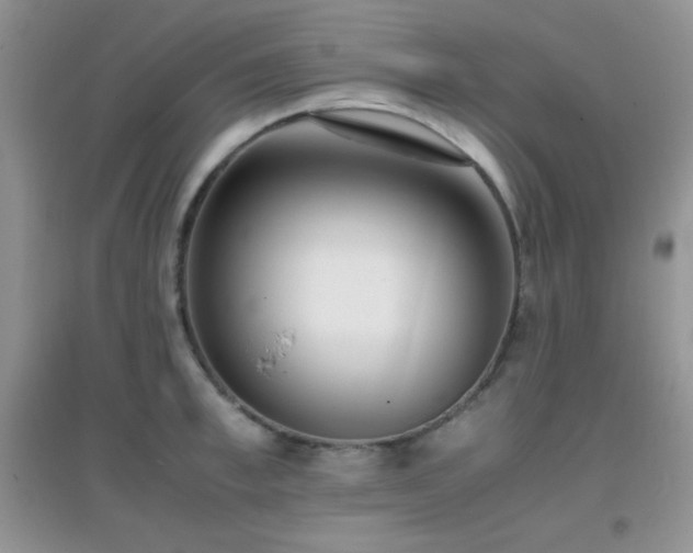 X0000097000997200802081440