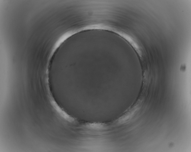 X0000097000998200802081440