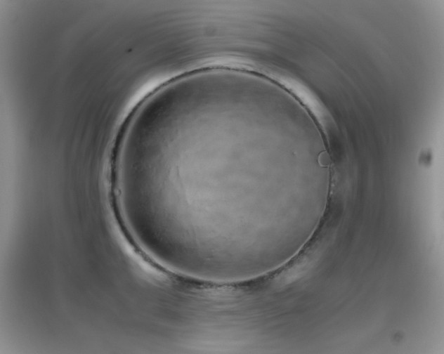 X0000097000999200802081440