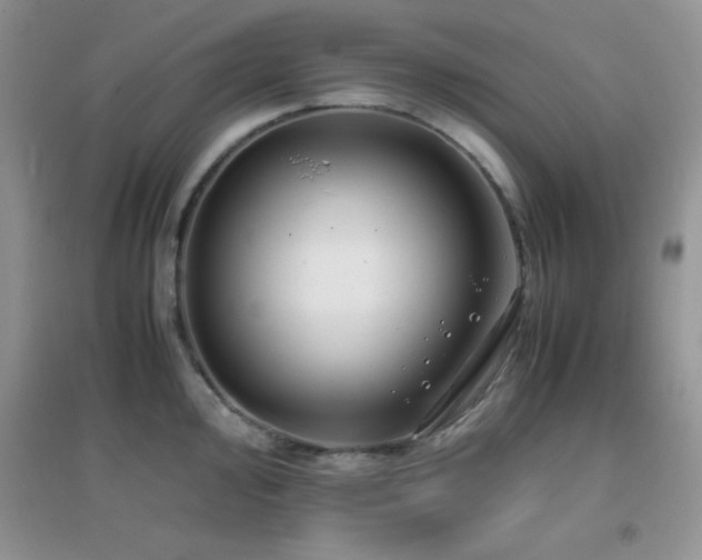 X0000097001000200802081440