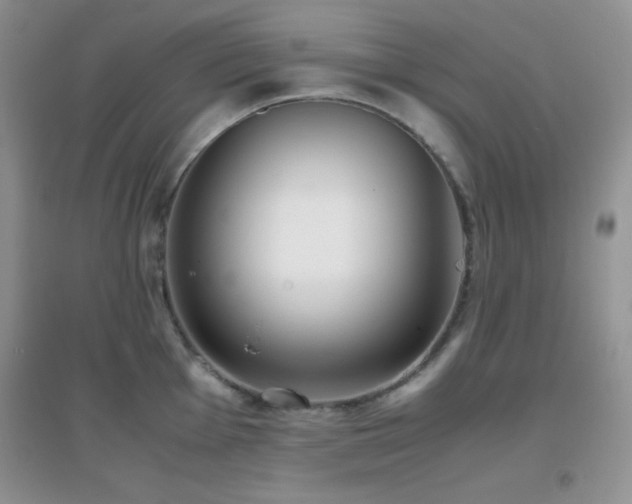 X0000097001001200802081440