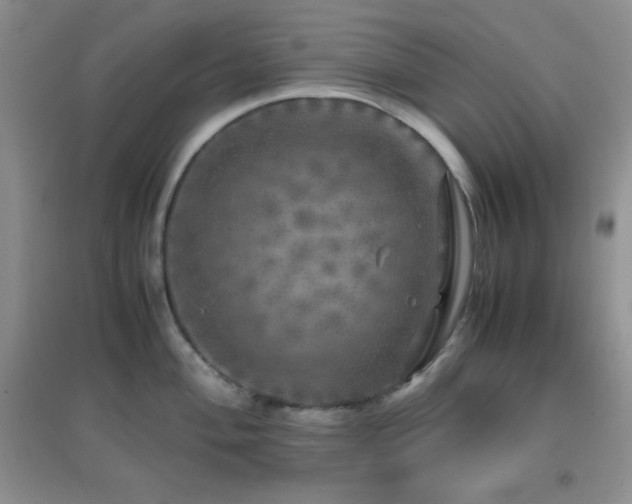 X0000097001004200802081440