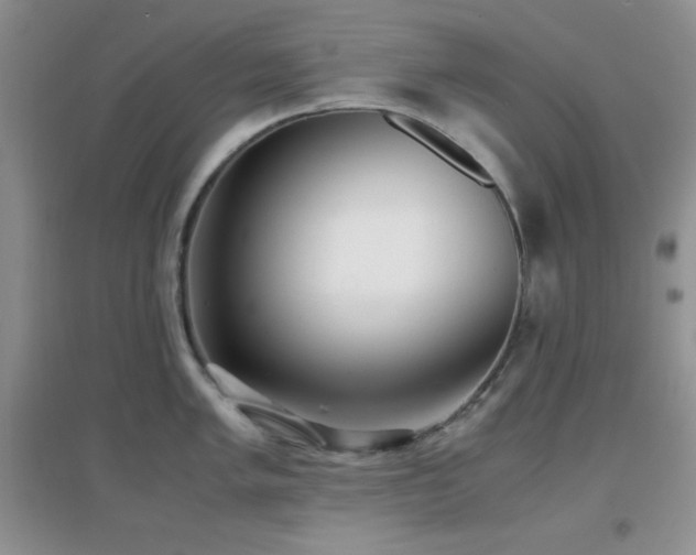 X0000097001005200802081440