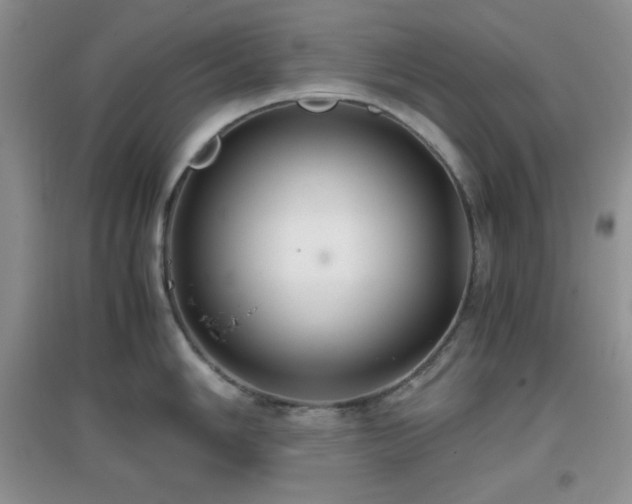 X0000097001006200802081440
