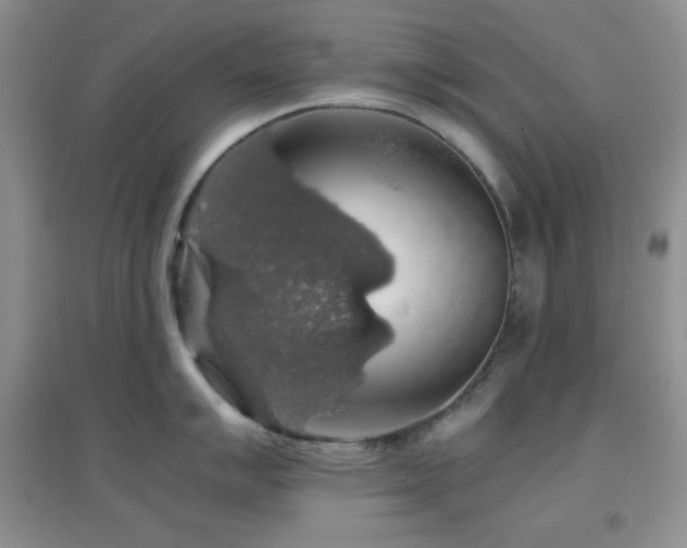 X0000097001007200802081440