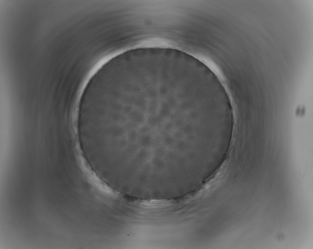 X0000097001008200802081440