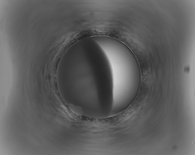 X0000097001009200802081439