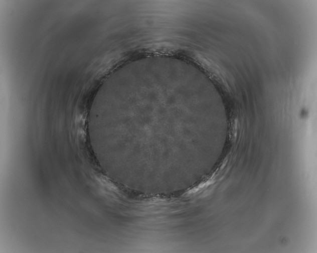X0000097001010200802081439