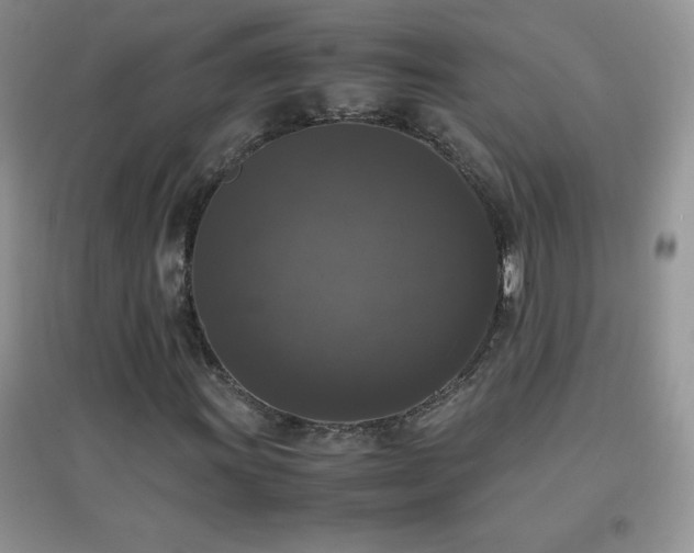 X0000097001011200802081439