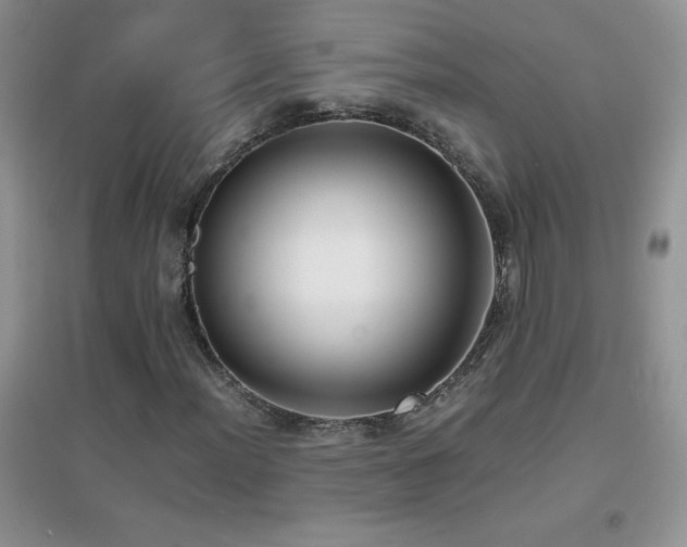 X0000097001012200802081439