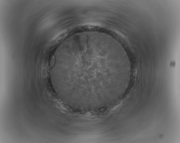 X0000097001014200802081439