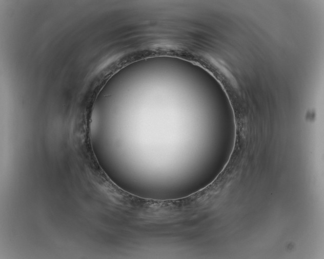 X0000097001015200802081439